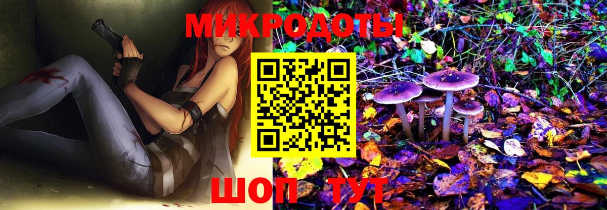 Галлюциногенные грибы Psilocybe  Фролово  Галлюциногенные грибы Psilocybine cubensis 