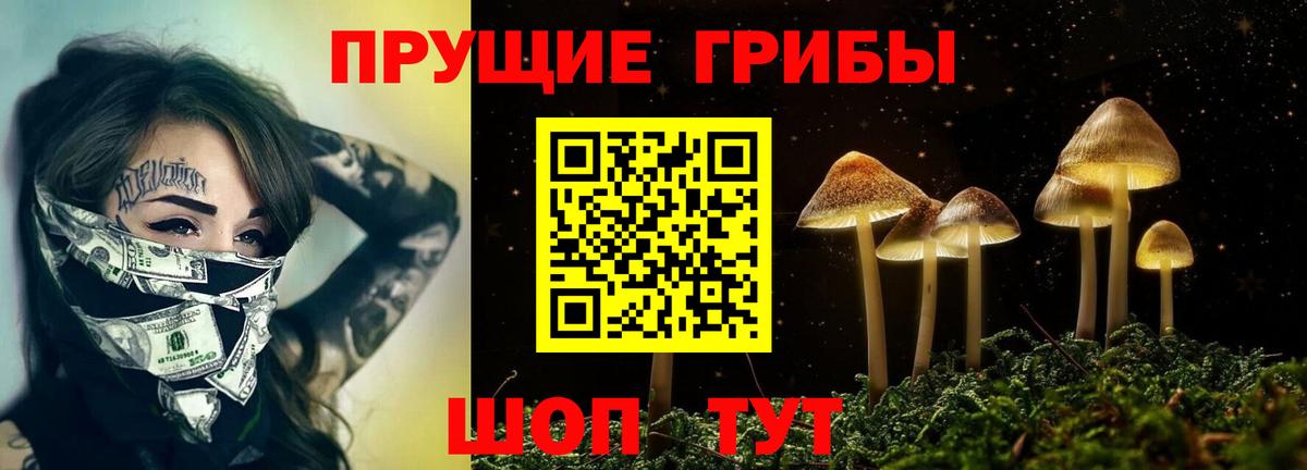 купить наркотик  Псилоцибиновые грибы Psilocybine cubensis  Фролово  Вход с VPN  Галлюциногенные грибы мухоморы 